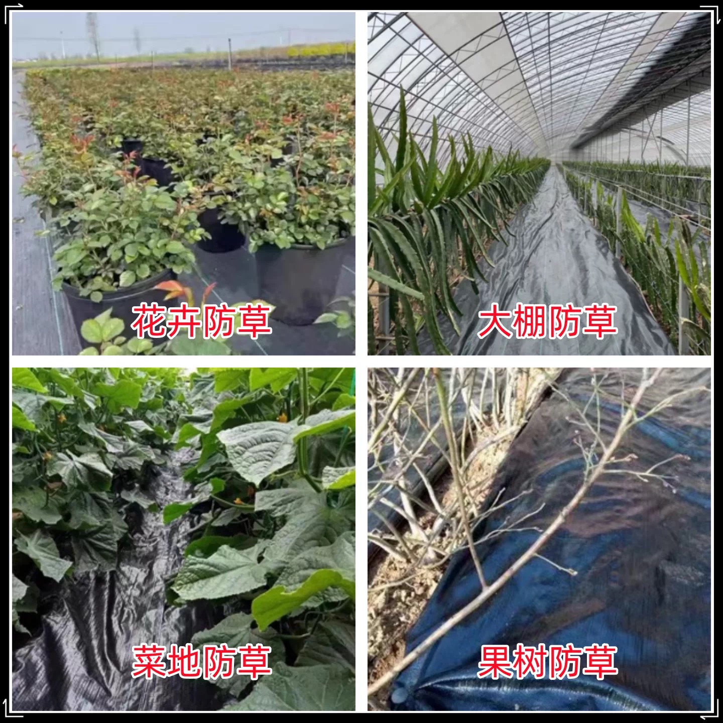 湖州市黑白养殖膜防草布 - 哪里好